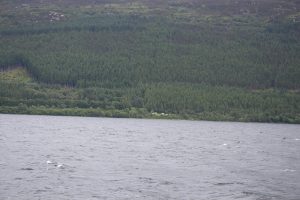 Blick auf Loch Ness