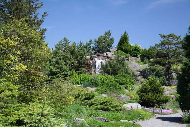 Wasserfall im botanischen Garten